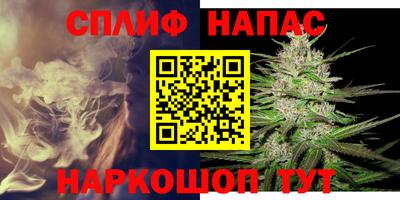 мдпв Можга