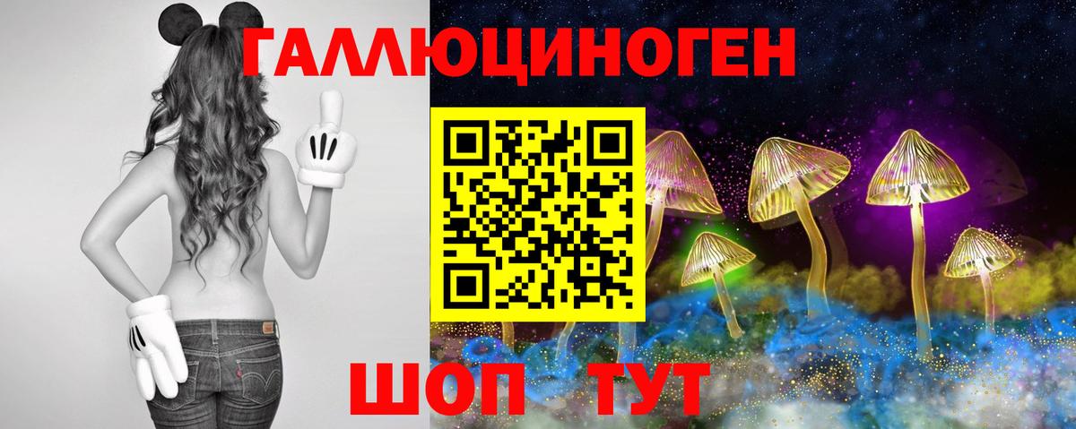 Славгород  Псилоцибиновые грибы MAGIC MUSHROOMS  Галлюциногенные грибы Psilocybe  Вход с VPN 